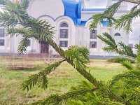 Поздравление главы Краснопартизанского района с Вербным Воскресением
