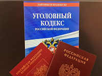  Ответственность иностранных граждан и лиц без гражданства за незаконный оборот наркотиков в российской федерации