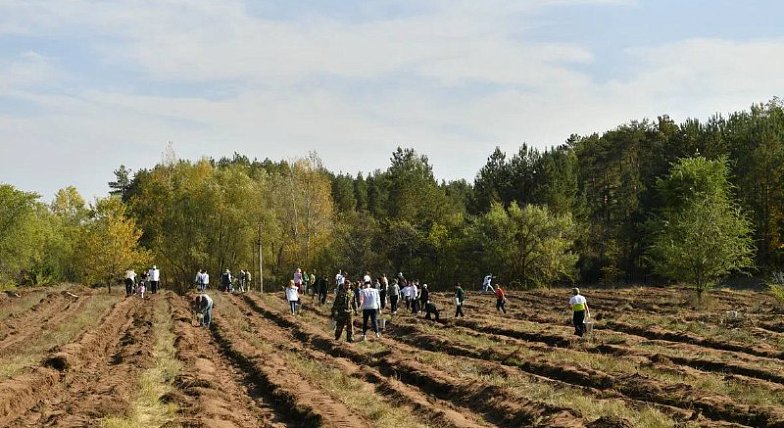 Губернатор Саратовской области Роман Бусаргин предложил при высадке новых лесов делать памятные места, посвященные героям-участникам СВО