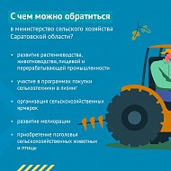 Сельское хозяйство - ключевая отрасль экономики Саратовской области