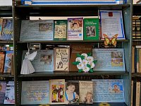 В Милорадовской сельской библиотеке была представлена книжная выставка «Моя семья – моё богатство»