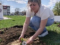 Работники администрации Краснопартизанского муниципального района стали участниками акции «Сад памяти»