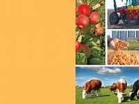 Сельское хозяйство - ключевая отрасль экономики Саратовской области